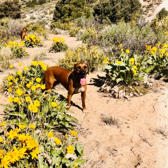 LIVE SHARE SHOW Tuesday Nov 4- 9 EST/6 PST - Picture 9 of 12